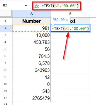 Using the TEXT Function