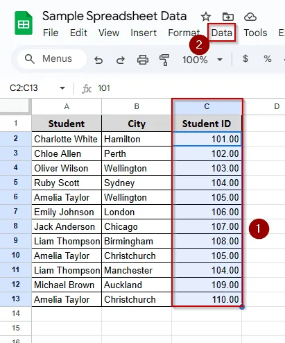 Duplicate Entry Validation