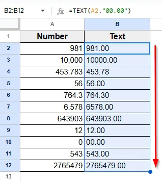 Using the TEXT Function