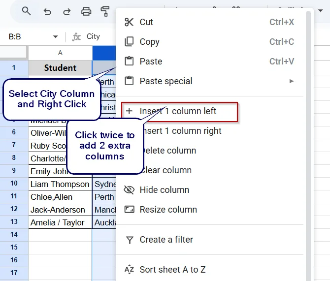 Use the REGEXEXTRACT Function