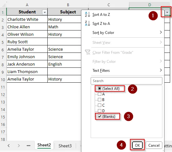 Use a Filter to Find and Highlight Rows with Blank Cells