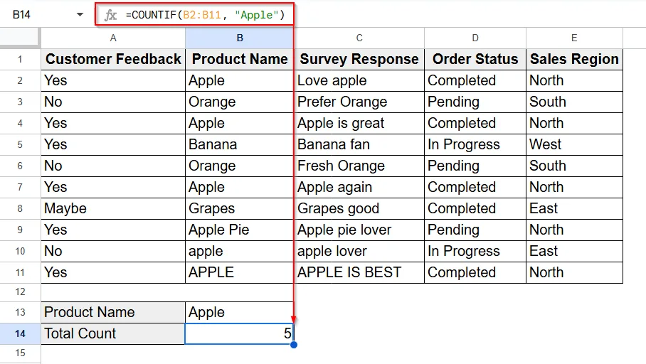 Using COUNTIF for an Exact Match to Count Cells with Specific Text