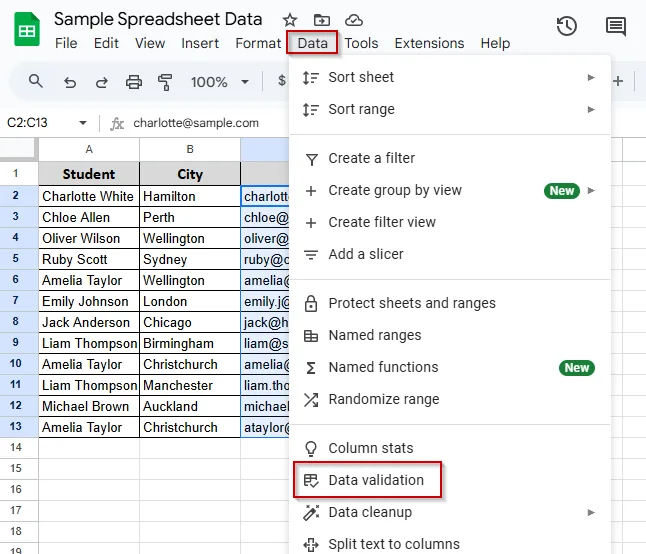 Domain-Specific Email Validation