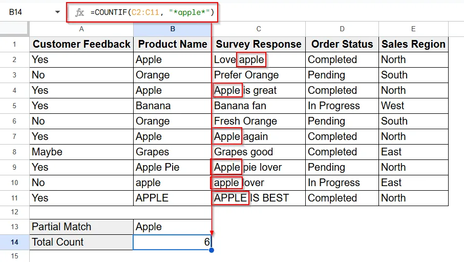 Using COUNTIF for Partial Matches to Count Cells with Specific Text