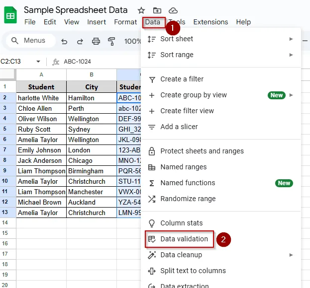 Pattern-Based Validation with Regex