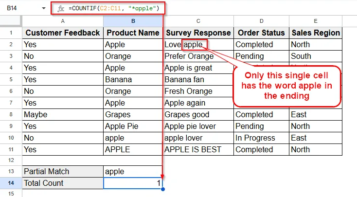 Using COUNTIF for Partial Matches to Count Cells with Specific Text