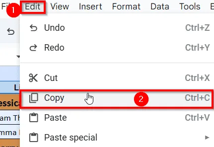 Apply Copy and Paste Special Features