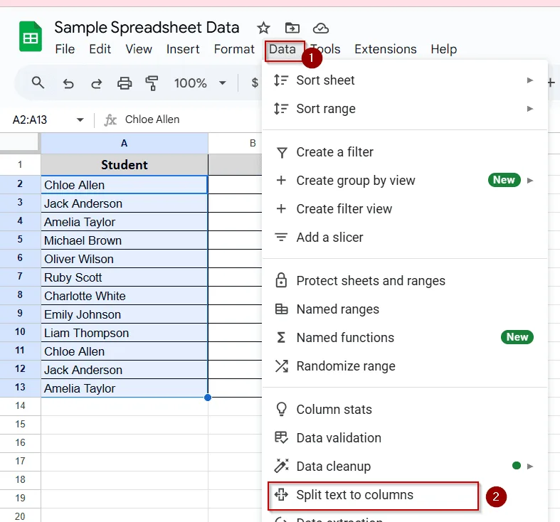 Use the “Split Text to Columns” Feature (Menu Option)