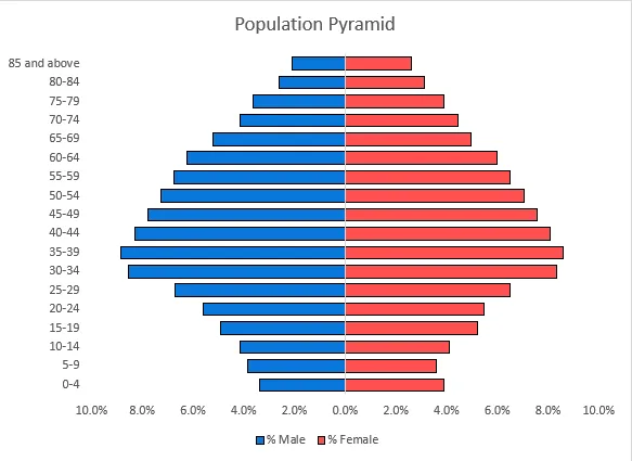 How to Make a Population Pyramid in Excel (with Detailed Steps) | Excel ...